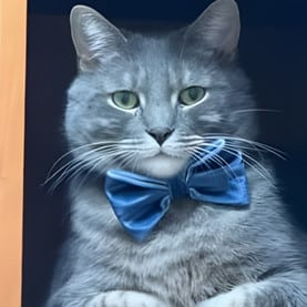 Tangelo